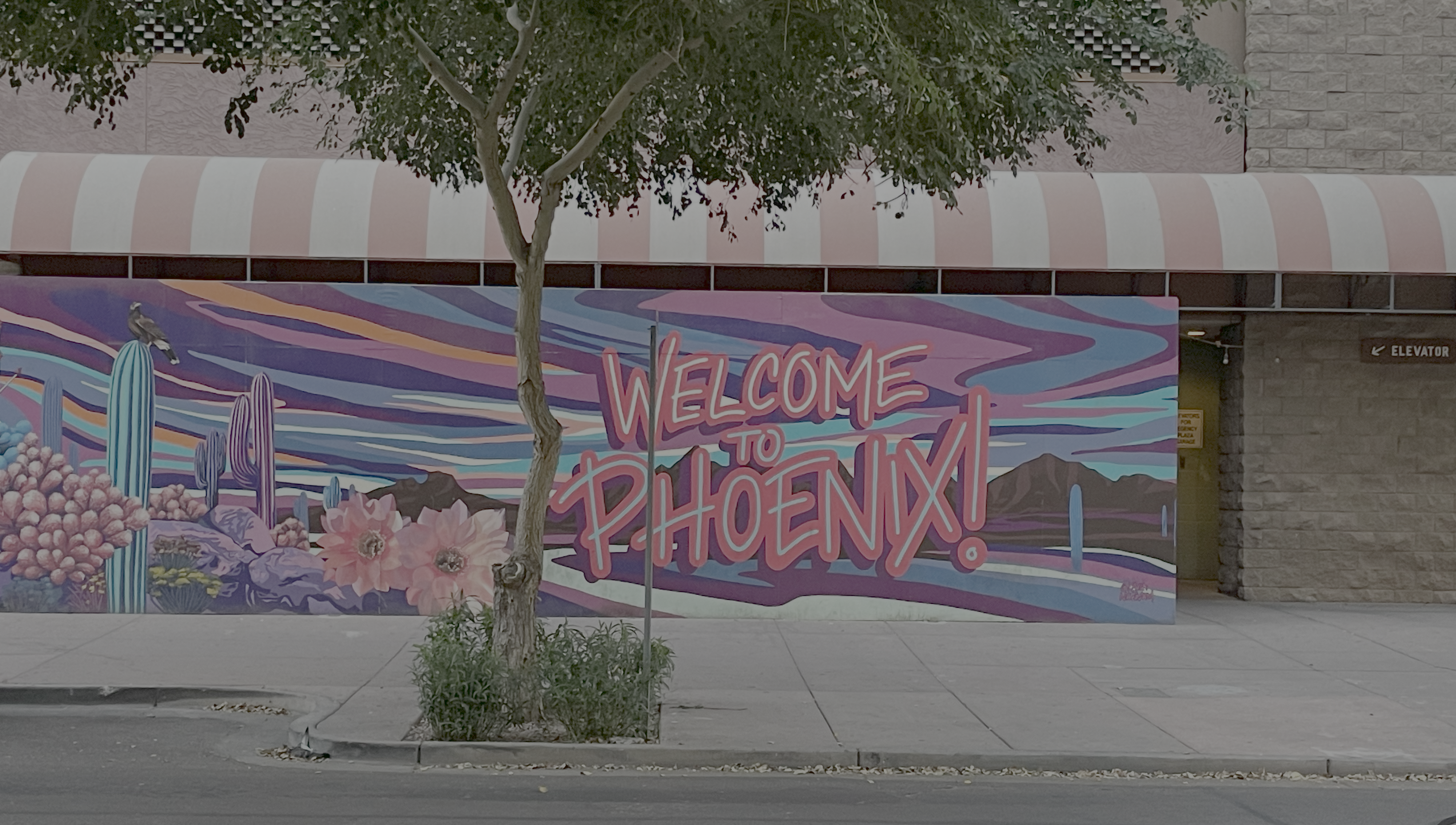 Welcome to Phoenix